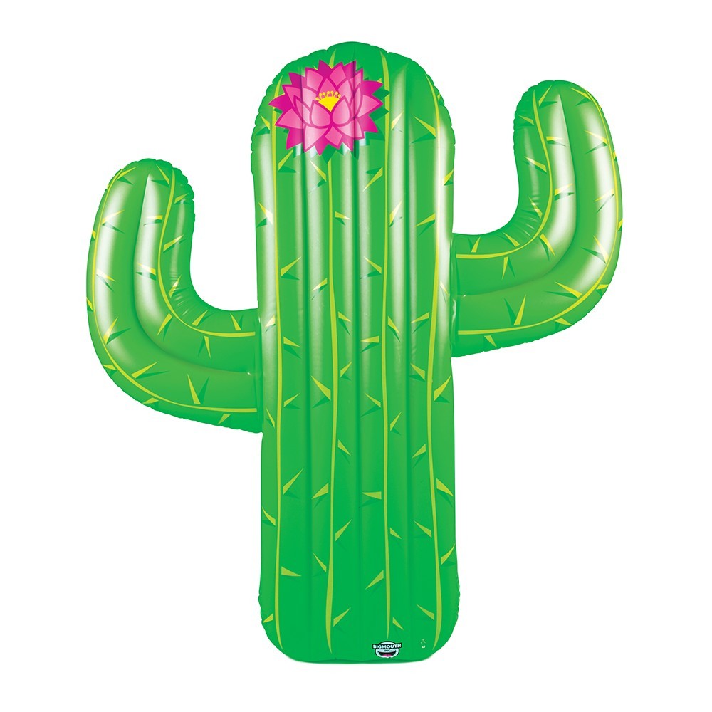 Cactus Pool Float BigMouth